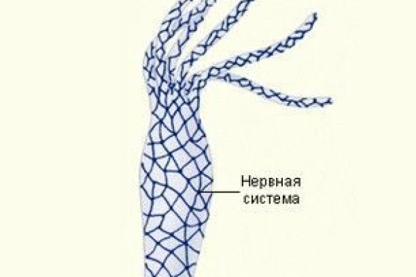 Кракен маркет даркнет тор