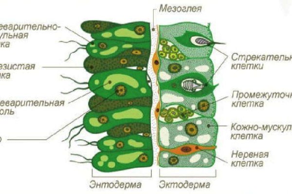 Кракен зеркало на сайт