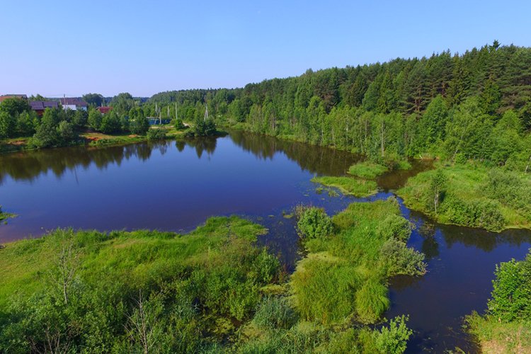 Даркнет зеркало